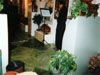 Inside the Bizim Collection at First Night Alexandria - 2004