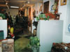 Inside the Bizim Collection at First Night Alexandria - 2004 (You can see a piece of Michael's stand.  He's behind the flower pot.)